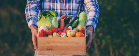 Hands holding a wooden box filled with fresh vegetables in the gardenの写真素材