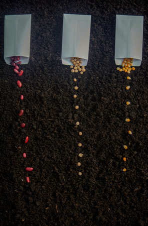 Seed Planting: A Variety of Crops for Future Harvest. Selective focus.