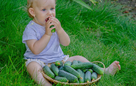 Little girl with a basket of fresh cucumbers on the green grass.の写真素材