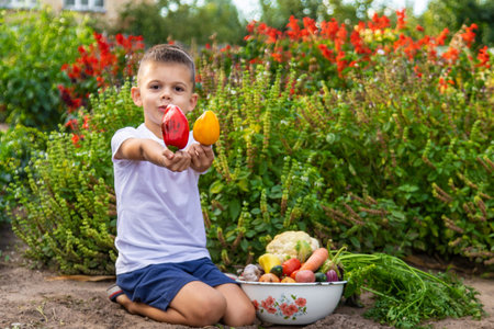 Child with a bowl of fresh vegetables in the garden.の写真素材