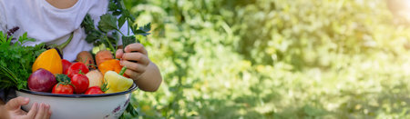 Child with a bowl of fresh vegetables in the garden.の写真素材