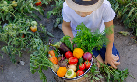 Child with a bowl of fresh vegetables in the garden.の写真素材