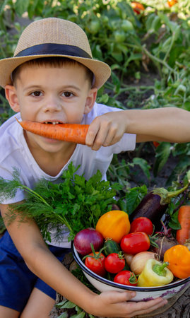 Child with a bowl of fresh vegetables in the garden.の写真素材