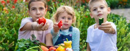 Children with a bowl of vegetables in the garden family harvest gathering.の写真素材