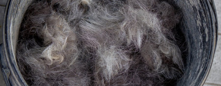 A man combs a dog's fur. Selective focus.
