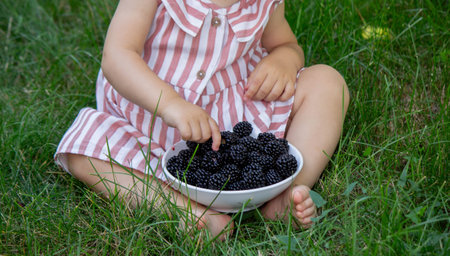 Little Girl Enjoying Fresh Blackberries in the Garden.