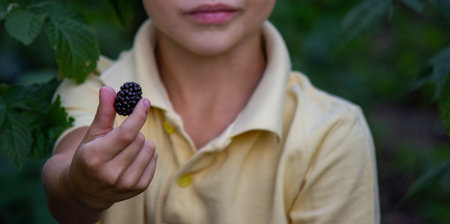 Boy with a bowl of fresh blackberries in the garden. Selective focus.の写真素材