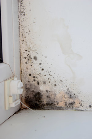 There is significant mold infestation visible in the corner of the window, indicating poor ventilationの写真素材