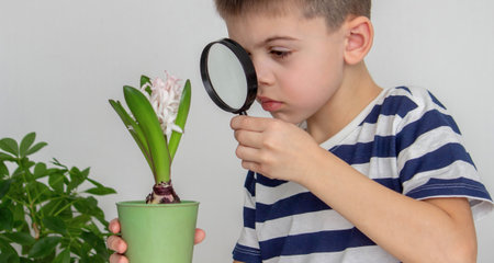 boy examines a flower with a magnifying glass. Selective focus.の写真素材