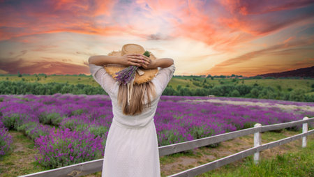 Woman in lavender field. Happy carefree woman in white dress and straw hat walking through lavender fieldの写真素材