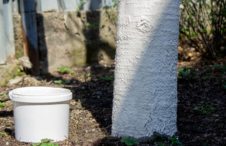 a farmer treats a tree trunk with a protective white paint against pests. treating trees in the garden.の写真素材