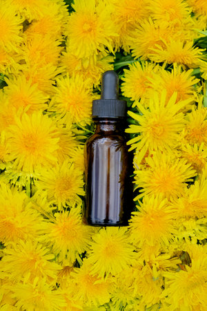 A bottle of dandelion tincture or oil. Phytotherapy.の写真素材