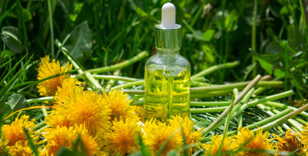 A bottle of dandelion tincture or oil. Phytotherapy.の写真素材
