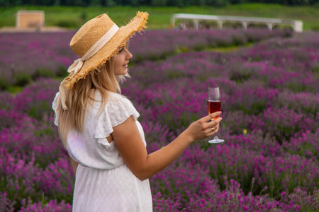 Woman in a white dress in a lavender field with champagne. Vacation.の写真素材
