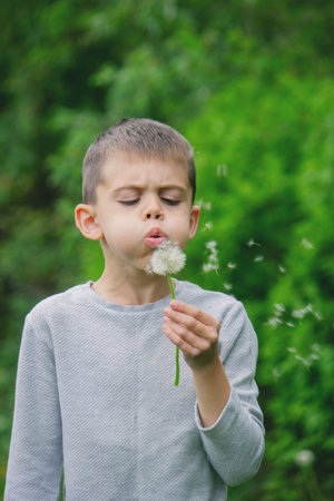 Boy blowing on a dandelion. Allergy