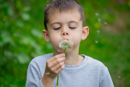 Boy blowing on a dandelion. Allergy