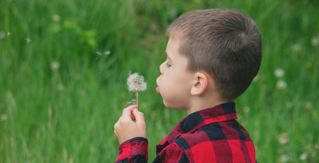 Boy blowing on a dandelion. Allergyの写真素材