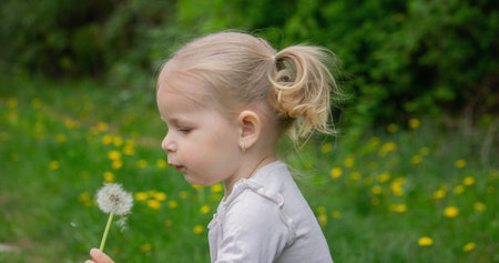 Adorable cute little girl blowing on a dandelion flower on the street in summer.の写真素材