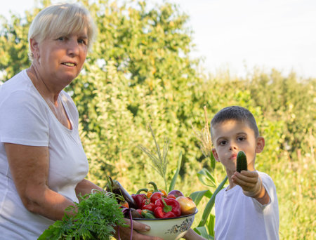 Grandmother and Grandson Harvesting Fresh Vegetables in Garden.の写真素材