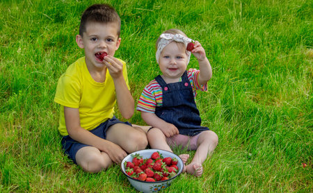 Children eating strawberries on a garden background. Selective focus.の写真素材