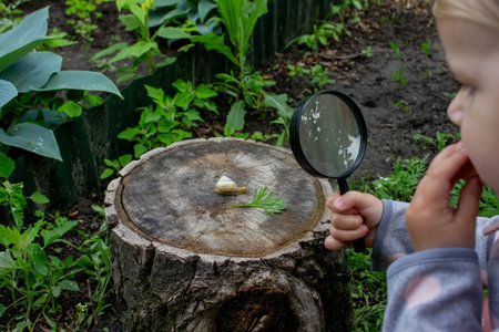 girl looking at snail through magnifying glass, researcher. Selective focus.の写真素材