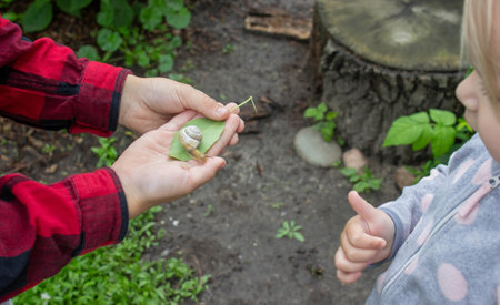 girl looking at snail through magnifying glass. Selective focus.の写真素材