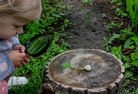 girl looking at snail through magnifying glass, researcher. Selective focus.の写真素材