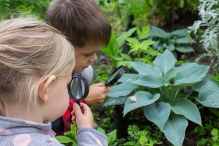 girl looking at snail through magnifying glass, researcher. Selective focus.の写真素材