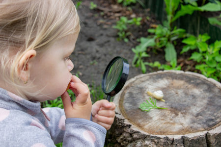 girl looking at snail through magnifying glass. Selective focus.の写真素材