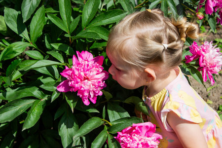 little girl in the garden sniffing flowers. Selective focus.の写真素材