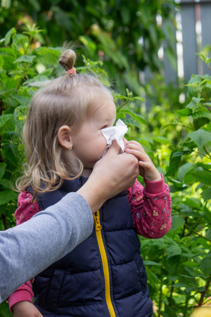 Father helps little girl wipe snot from her nose due to spring allergies.の写真素材