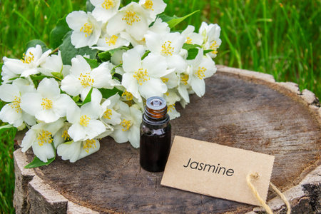 Jasmine essential oil in a glass bottle and jasmine flowers. Oilsの写真素材