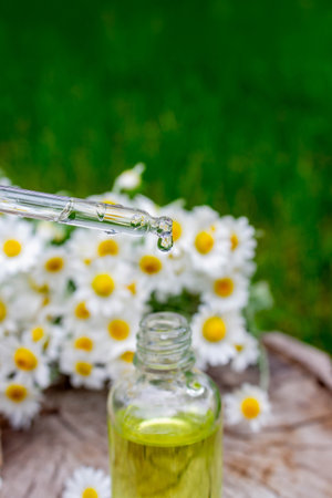 Chamomile Essential Oil Dropper with Fresh Flowers.の写真素材