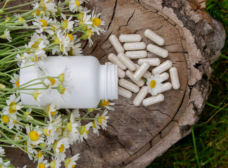 Chamomile Capsules and Fresh Daisies on Wooden Surface.の写真素材