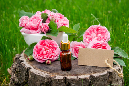 Rose essential oil in a bottle.essential oilsの写真素材