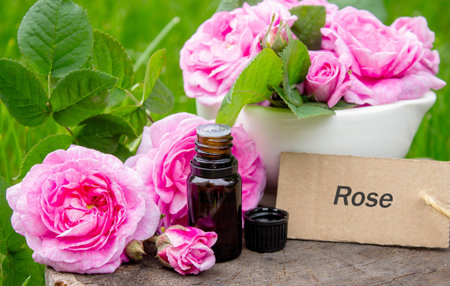 Rose essential oil in a bottle.essential oilsの写真素材