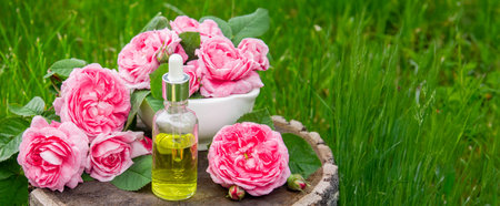 Rose essential oil in a bottle.essential oilsの写真素材
