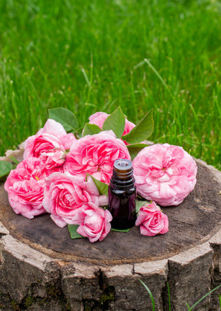 Rose essential oil in a bottle.essential oilsの写真素材