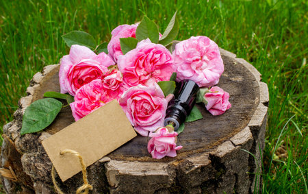 Rose essential oil in a bottle.essential oilsの写真素材