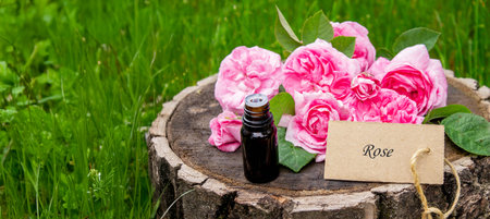 Rose essential oil in a bottle.essential oilsの写真素材