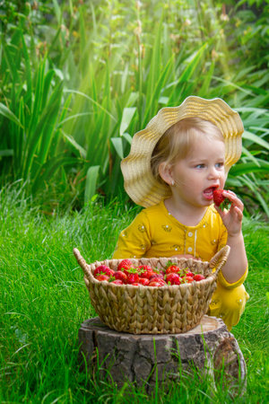 Child eating strawberries in the garden. Strawberries in a basket on a stump.の写真素材
