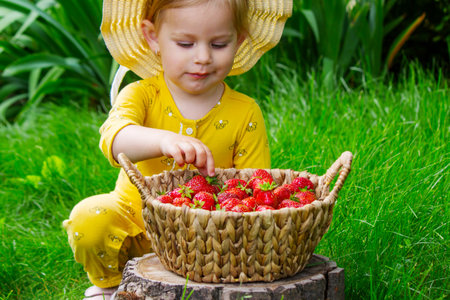 Child eating strawberries in the garden. Strawberries in a basket on a stump.の写真素材