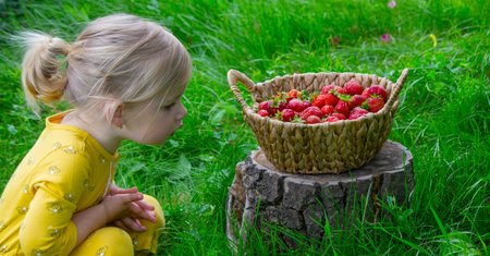 Child eating strawberries in the garden. Strawberries in a basket on a stump.の写真素材