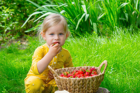 Child eating strawberries in the garden. Strawberries in a basket on a stump.の写真素材