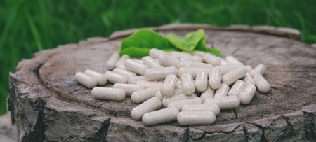Herbal medicine in capsules with herb leaves on wooden stumpの写真素材
