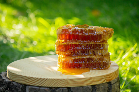 fresh honey on a background of garden and flowers. Selective focus.