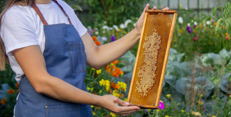 Woman holding a frame with honey on a garden background. Selective focus.