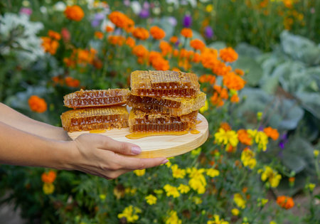 Woman holding honeycombs on garden background. Selective focus.