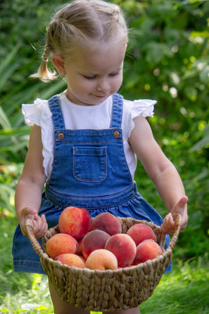 Little girl eating peaches. Selective focus.の写真素材