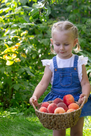 Little girl eating peaches. Selective focus.の写真素材